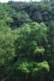 Nonton Film The Litchi Road Season 1 Episode 18 Subtitle Indonesia Nonton Film The Litchi Road Season 1 Episode 18 Subtitle Indonesia