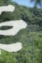 Nonton Film The Litchi Road Season 1 Episode 12 Subtitle Indonesia Nonton Film The Litchi Road Season 1 Episode 12 Subtitle Indonesia